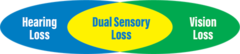 Hearing Loss / Dual Sensory Loss / Vision Loss image